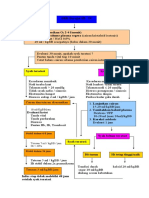 Dengue Syok Syndrome