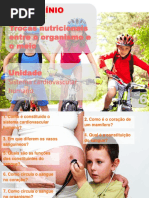 Powerpoint sistema circulatório