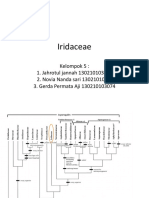 Iridaceae