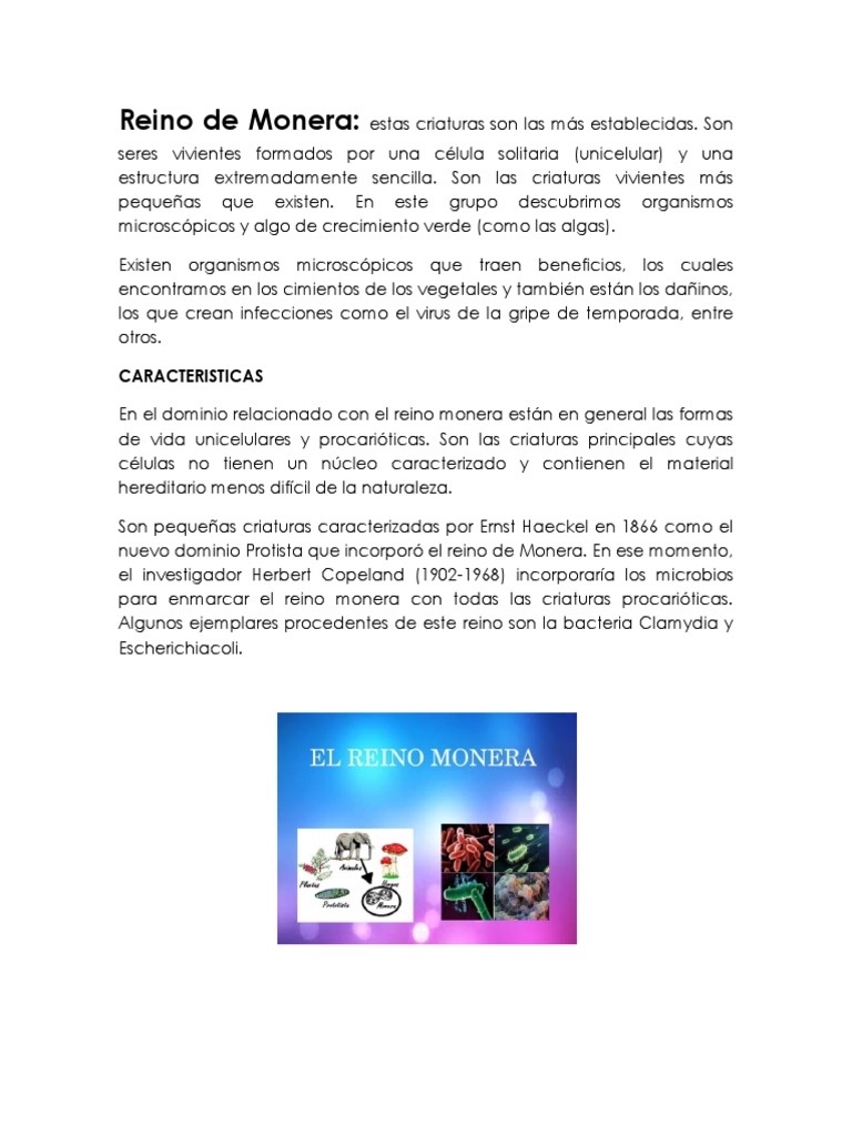 Características de los Reinos Biológicos | PDF | Protozoos | Plantas