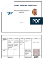 Estructura Sedimentaria.docx