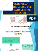 5. 2. Desarrollo embriologico del AGenital-1.ppt