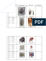 Red Algae Classification and Observation Table