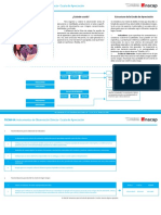 Ficha Instrumento Observacion Directa-Escala de Apreciacion