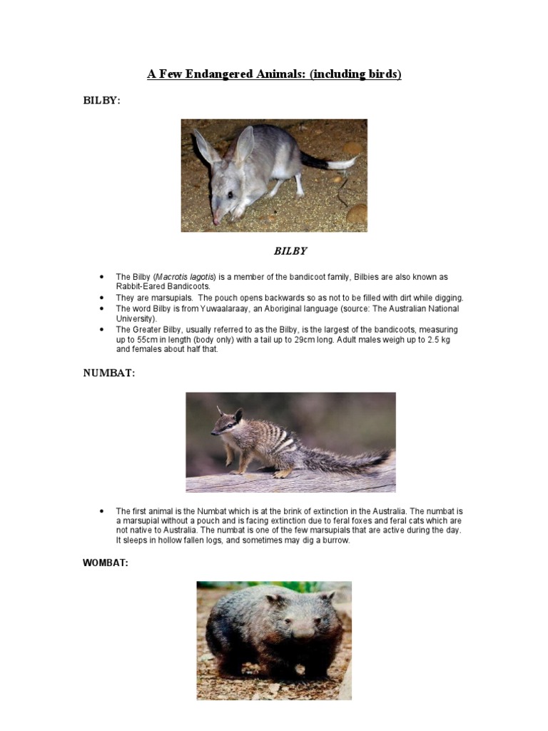 Endangered Animals and Plants Overview | PDF