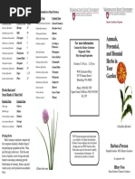 Annual Perennial and Biennial Herbs 