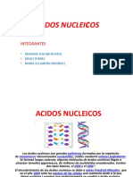 Mariana Solano Acidos Nucleicos