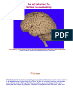 HBTRC-Neuroanatomy-2014.1.pdf