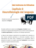 Neurofisiología Del Lenguaje