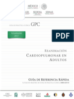 RR PDF