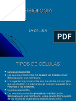 Celula 12002950854576 2