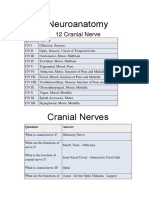 Neuroanatomy