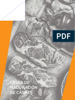 Canvas de Maduracion de Carnes PDF