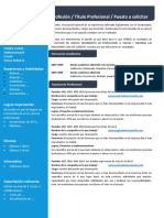 Formato Base CV Gerencial