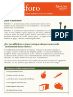 dieta-fosforo-rinones-508.pdf