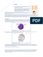 viral_hepatitis_b.pdf