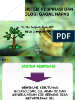 200809756-Fisiologi-sistim-respirasi-Dan-Patofisiologi-Gagal-Napas-dr-Eko.ppt