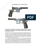 33 Bergmann PDF