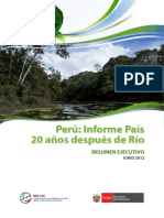 20 años despues de rio.pdf