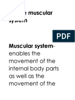 The Muscular System