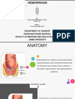 Hemorrhoid: Department of Surgery Raden Mattaher Hospital Faculty of Medicine and Health Sciences Jambi University