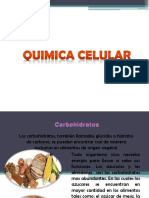 Quimica Celular