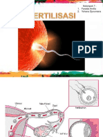 Fertilisasi