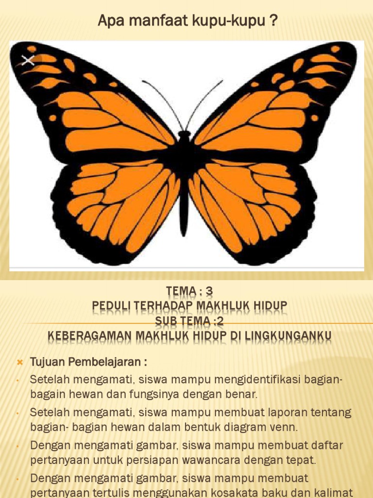 Presentasi 1 Pdf