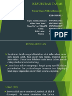 PPT BORON KESTAN.pptx