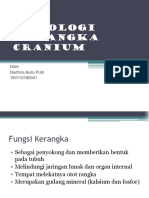 Fisiologi Kerangka Cranium