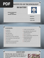 Bio Battery 2