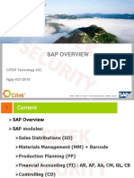 SAP Overview V1.0 PDF