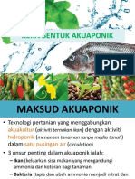 T2 Akuaponik 2