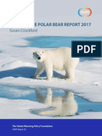 Polarbears2018 A