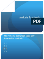 Hot Seat - Meiosis Mitosis - 1