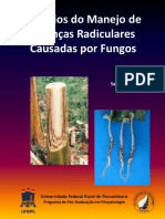 Desafios Do Manejo de Doenças Radiculares Causadas Por Fungos PDF