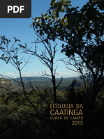 livro ECCA 2013.pdf