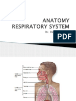 Anatomy Respiratory System PP