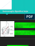 Hemorragia Digestiva