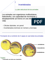 Invertebrados