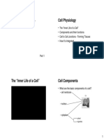 Cell Physiology PDF