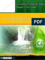 Estrategia-Nacional-de-Cuencas.pdf