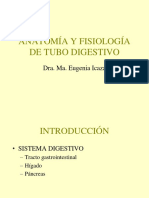 Anatomia y Fisiologia Del Tubo Digestivo