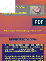 1-Introdução À Neuropsicologia-Módulo - I - 2007