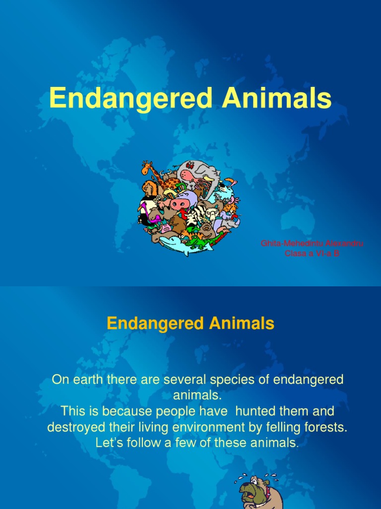 Endangered Animal Species Overview | PDF