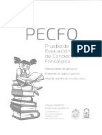 333306338-PECFO-Protocolo-Completo.docx