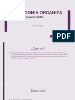 Patagonia organiza.pptx
