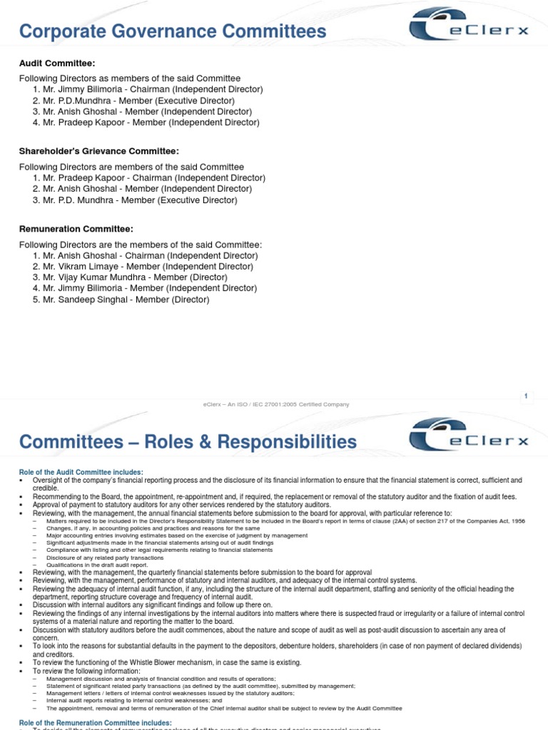 IR Committees-Roles Responsibilities | PDF | Internal Control | Audit