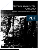 355019954-Dereco-Ambiental-Chileno-Rodrigo-Guzman.pdf