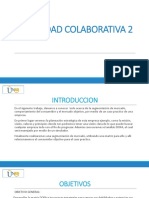 2 Actividad Colaborativa (2)